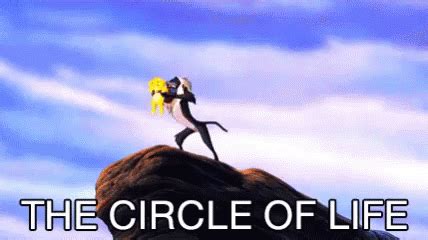 circle of life gif